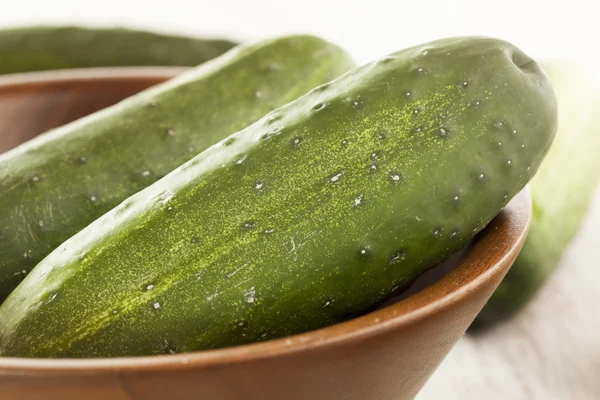 Organic Green Pickle Cucumbers — Stock Photo, Image