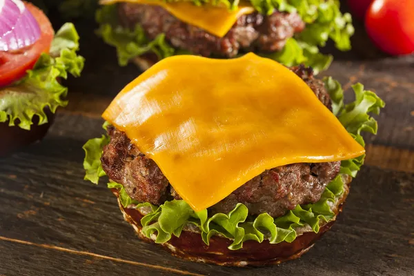 Gurmán sýr hamburger na roll preclík — Stock fotografie