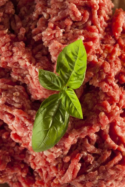 Organic Raw Grass Fed Ground Beef — Stock Photo, Image