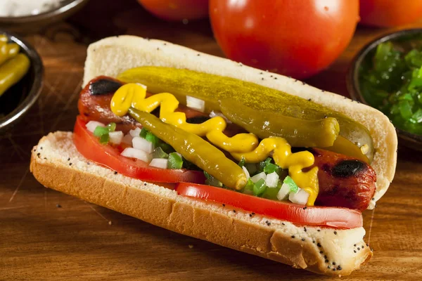 Chicago Style Hot Dog — Zdjęcie stockowe