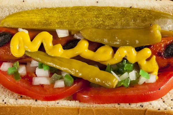 Hot Dog style Chicago — Photo