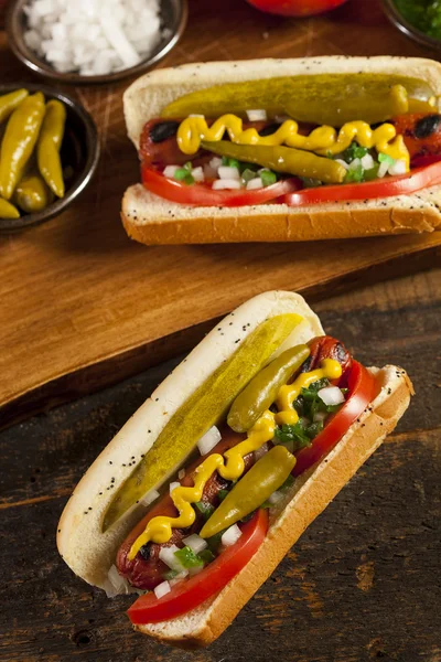 Chicago stijl hotdog — Stockfoto
