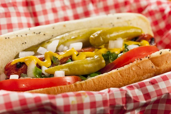 Chicago Style Hot Dog — Zdjęcie stockowe