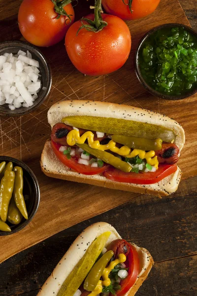 Chicago Style Hot Dog — Zdjęcie stockowe