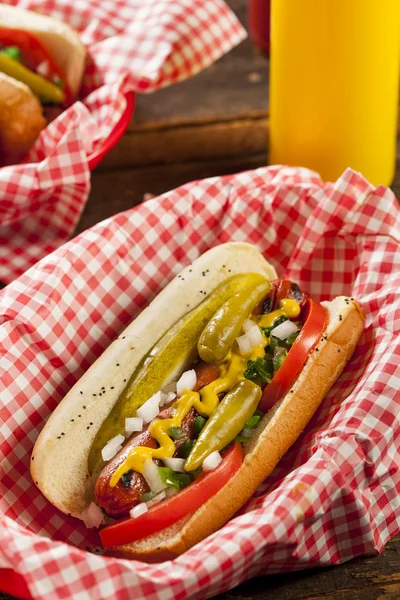 Chicago Style Hot Dog — Zdjęcie stockowe