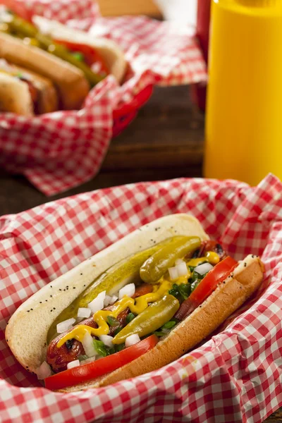 Chicago Style Hot Dog — Stock Fotó