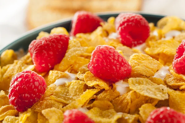 Healthy Cornflake Cereal — Stock Photo, Image