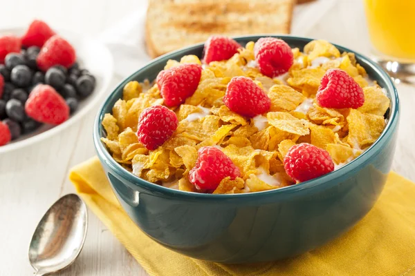 Healthy Cornflake Cereal — Stock Photo, Image