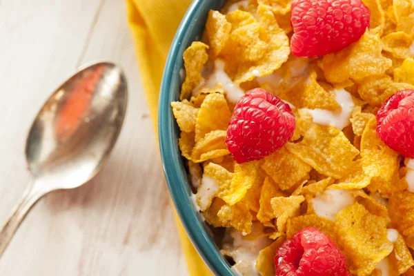 Healthy Cornflake Cereal — Stock Photo, Image