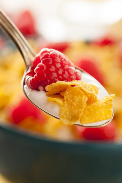 Healthy Cornflake Cereal — Stock Photo, Image