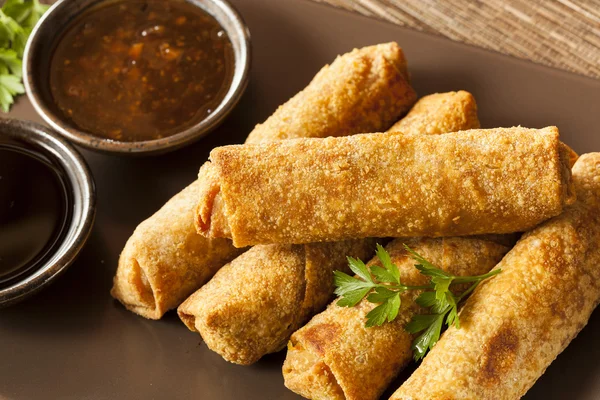 Hemgjorda kinesiska grönsaker eggrolls — Stockfoto