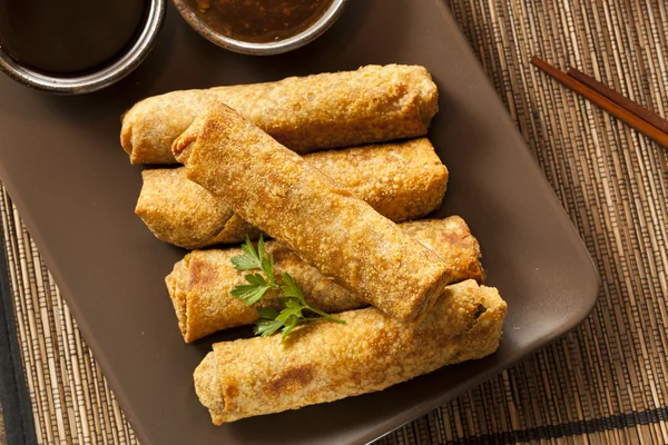 Hemgjorda kinesiska grönsaker eggrolls — Stockfoto