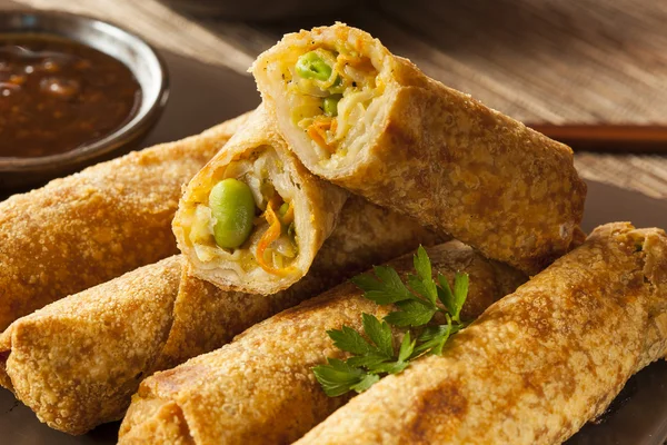 Homemade Chinese Vegetable EggRolls — Stock Photo, Image