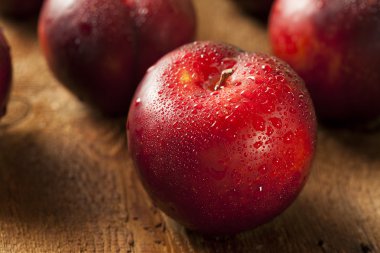 taze organik siyah Erik