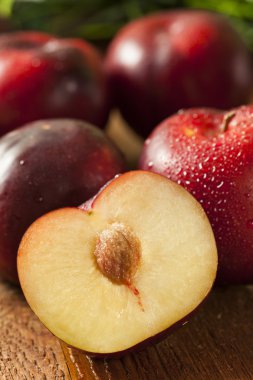 taze organik siyah Erik