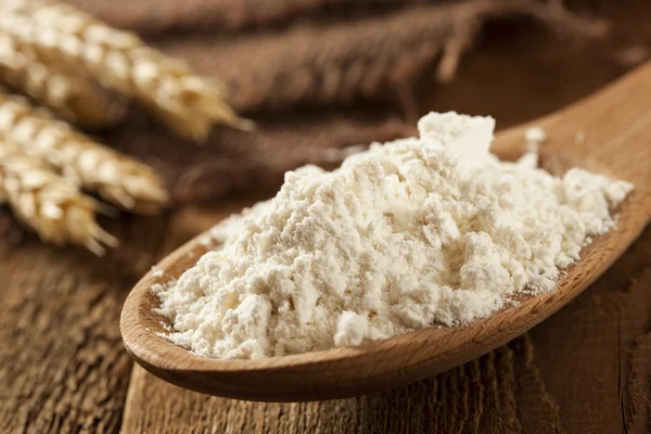 Organic Whole Wheat Flour — Stock Photo, Image