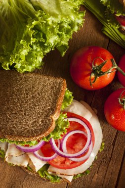 ev yapımı Türkiye sandviç