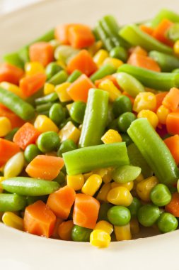 medly organik sebze buğulama