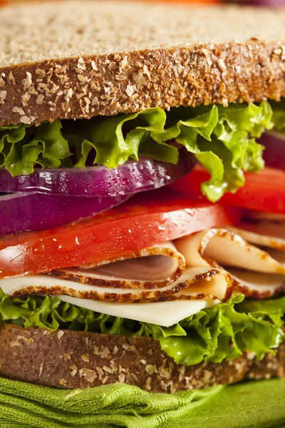 Hausgemachtes Truthahnsandwich — Stockfoto