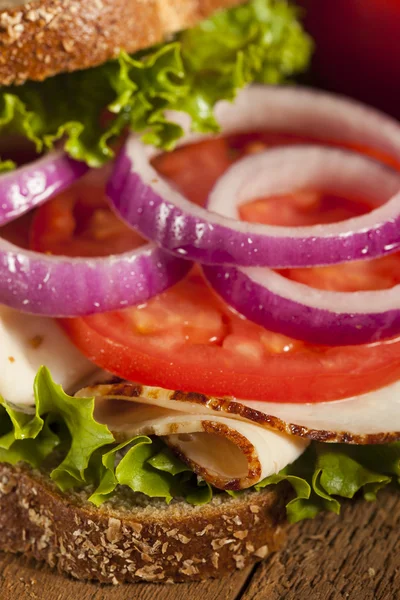 Sandwich di tacchino fatto in casa — Foto Stock