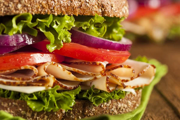 Sandwich di tacchino fatto in casa — Foto Stock