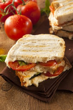 ev yapımı domates ve mozzarella panini