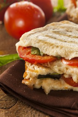 ev yapımı domates ve mozzarella panini