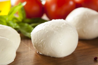 ev yapımı organik mozzarella peyniri