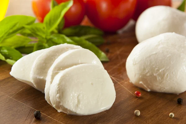 Ev yapımı organik mozzarella peyniri — Stok fotoğraf
