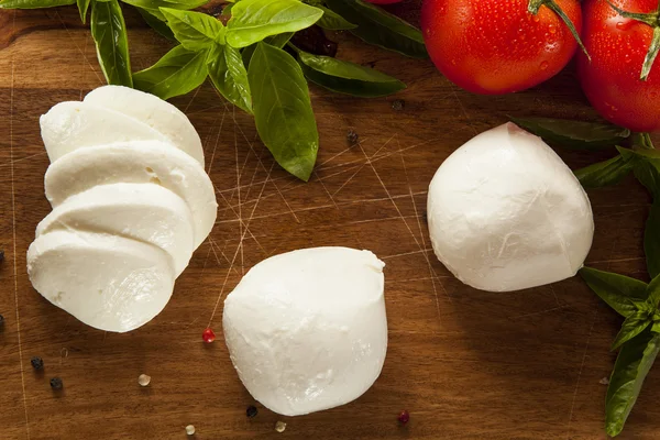 Ev yapımı organik mozzarella peyniri — Stok fotoğraf