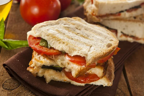 Tomate caseiro e Mozzarella Panini — Fotografia de Stock