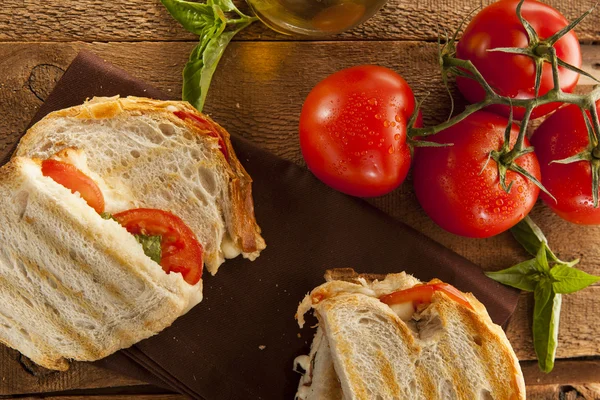 Homemade Tomato and Mozzarella Panini — Stock Photo, Image