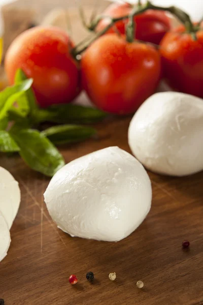 Ev yapımı organik mozzarella peyniri — Stok fotoğraf