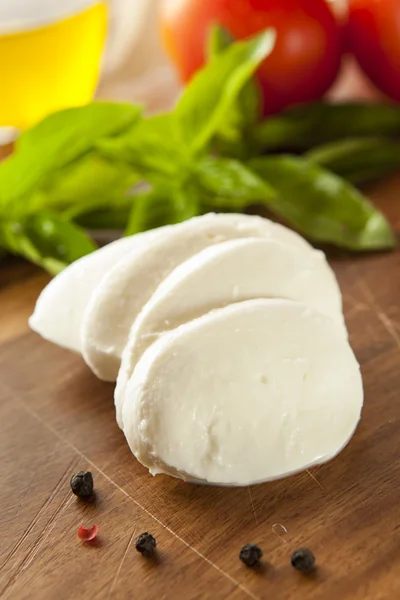 Fromage Mozzarella bio fait maison — Photo