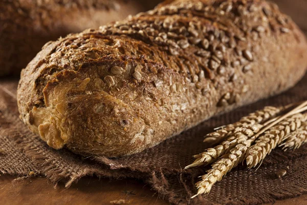 Pan de trigo integral casero fresco — Foto de Stock