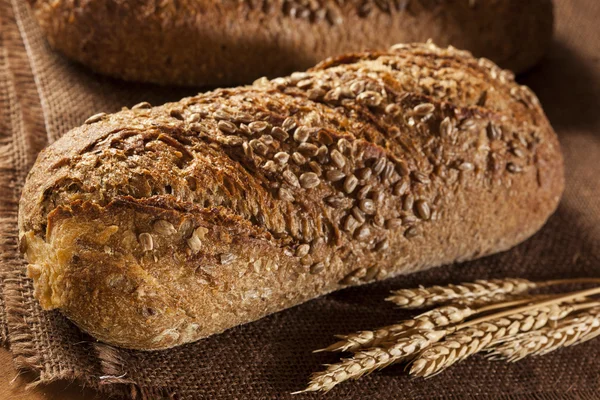 Pan de trigo integral casero fresco — Foto de Stock