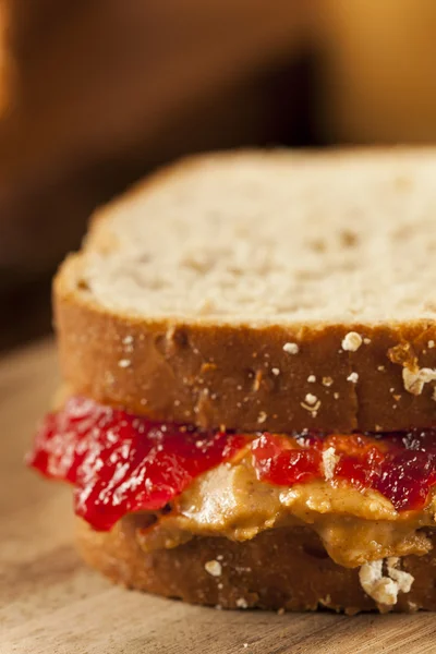 Homemade Peanut Butter and Jelly Sandwich — Stock Photo, Image