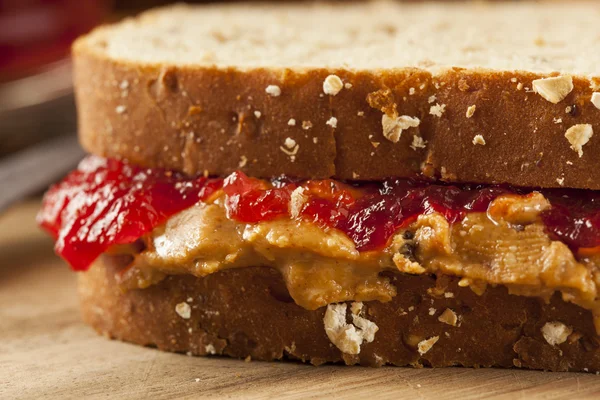 Sanduíche caseiro de manteiga de amendoim e geleia — Fotografia de Stock