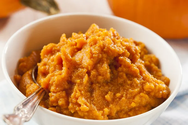 Organic Orange Pumpkin Puree — Stock Photo, Image