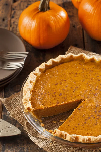 Torta di zucca deliziosa fatta in casa — Foto Stock