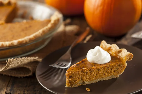 Torta di zucca deliziosa fatta in casa — Foto Stock