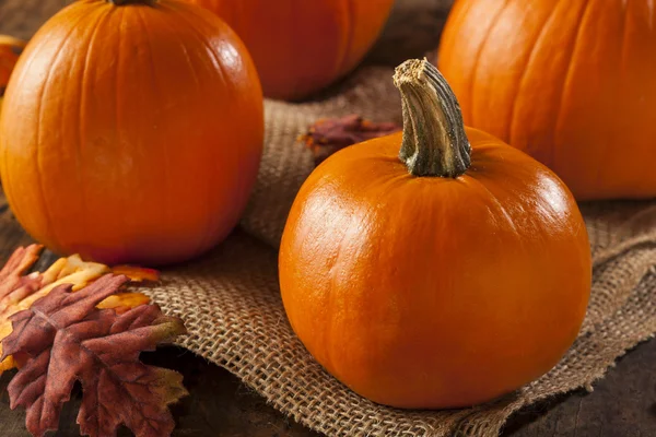 Ekologisk apelsin paj pumpor till halloween — Stockfoto