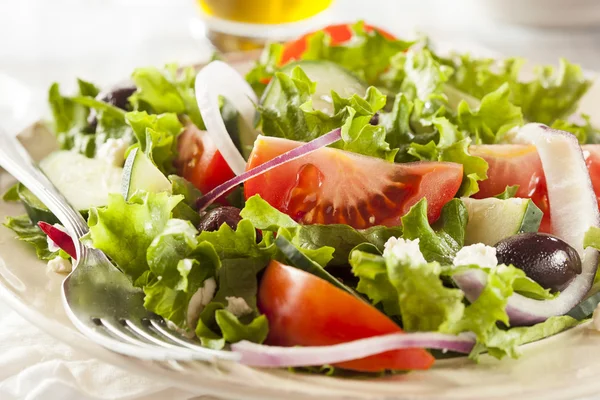 Salade grecque bio maison — Photo