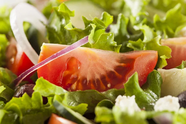 Homemade Organic Greek Salad — Stock Photo, Image