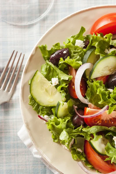 Домашний органический греческий салат — стоковое фото