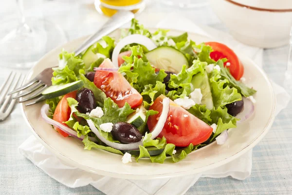 Hausgemachter griechischer Bio-Salat — Stockfoto