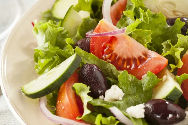 Insalata greca biologica fatta in casa — Foto Stock