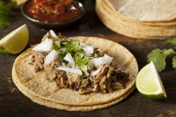 Tradycyjnych wieprzowina tacos — Zdjęcie stockowe