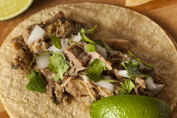 Traditional Pork Tacos — Stock Photo, Image