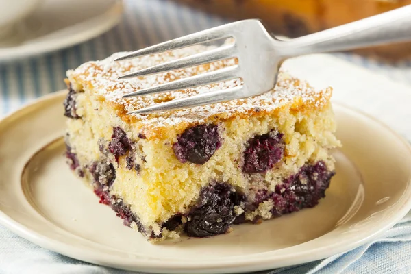 Házi blueberrry kávé torta — Stock Fotó
